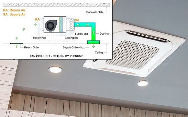 Kết cấu của hồi trần tự do
